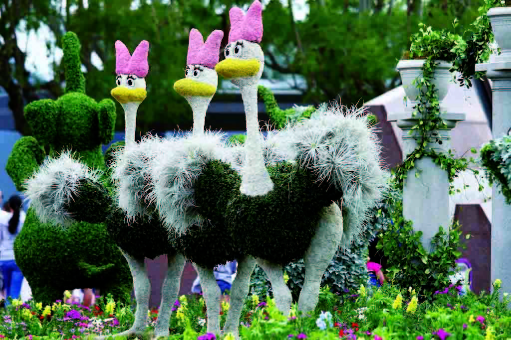 High Simulation Natural Elephant's Ear Plant With Beautiful Pots
