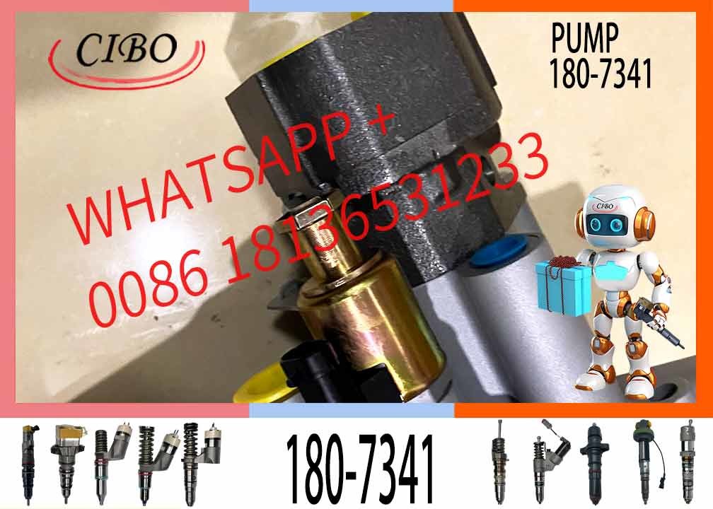 325C E322C E325C Diesel Pump 1807341 10R2995 1340467 10R7053 3126B Fuel Injection Pump 10R-2995 134-0467 10R-7053