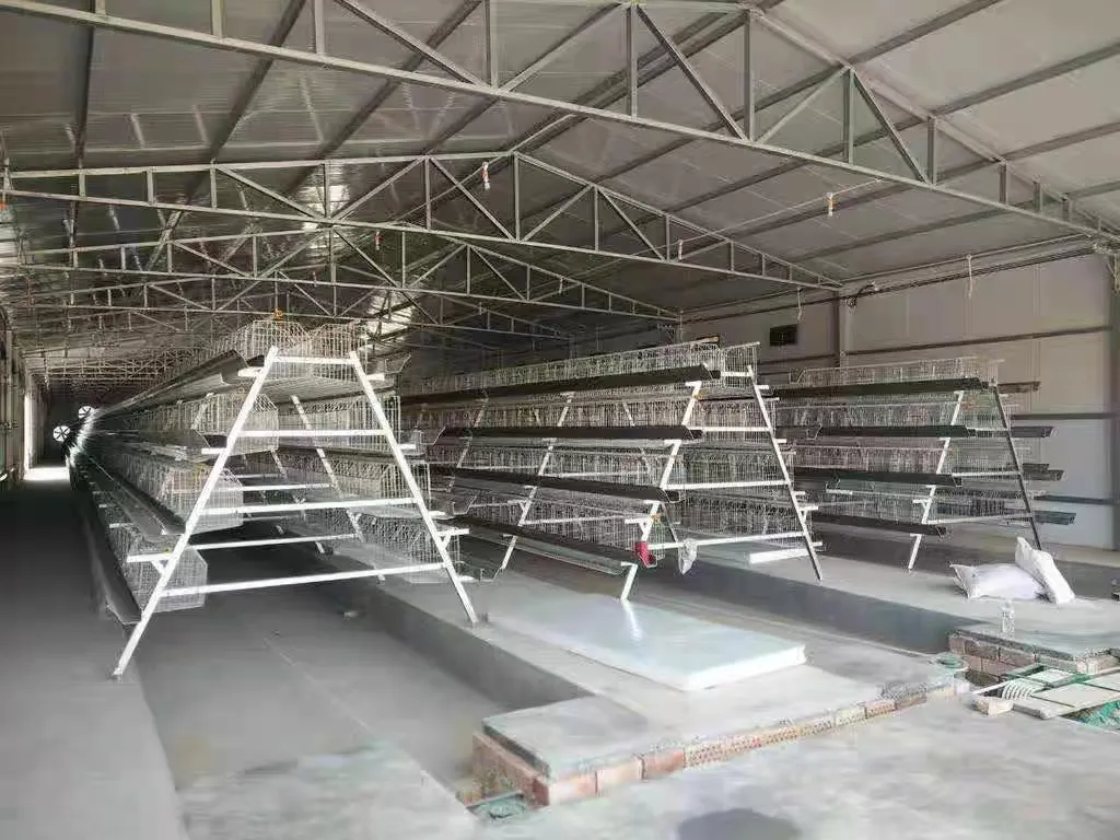 A Frame Multi Level Layer Cage System Galvanized Steel Livestock Cage Farming Solutions