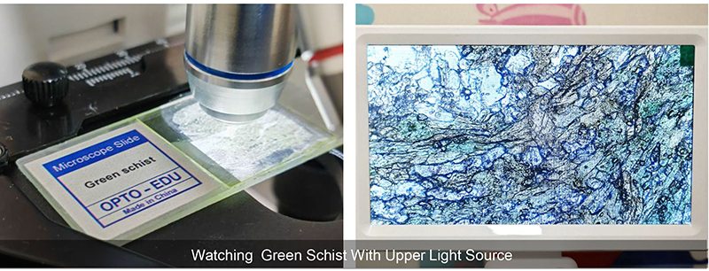 OPTO-EDU A33.5130 7'' LCD Microscope 8MP Camera 1080p Video HDMI/WiFi/USB Portable Design