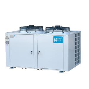 China Low Temp Cold Storage Refrigeration Units Chiller Fit R22 Refrigerant on sale