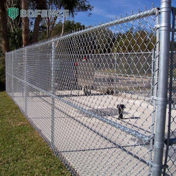 Park Trail Chain Link Fence Greenery Divider