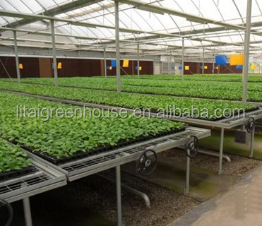 Multi Span Agriculture Greenhouse Height 3m Customized Length 50m
