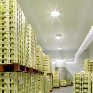 PUR PIR Insulated R404a Walk In Cooler