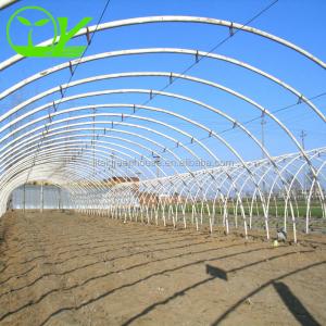 China Large Height 3-10m Polytunnel Greenhouse The Ideal Growing Environment for Your Crops on sale