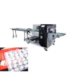 Stainless Steel Pillow Packing Machine Auto Pillow Pouch Packaging Machine