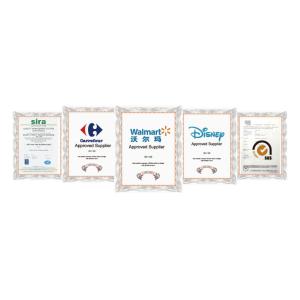 First (Shenzhen) Display Packaging Co.,Ltd Certifications