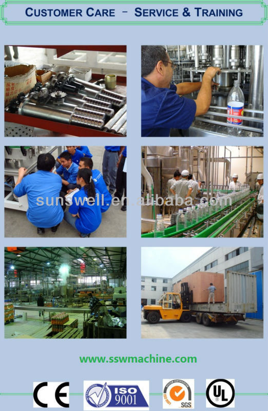 PET Automatic Soft Drink Carbonated Filling Machine PLC Control