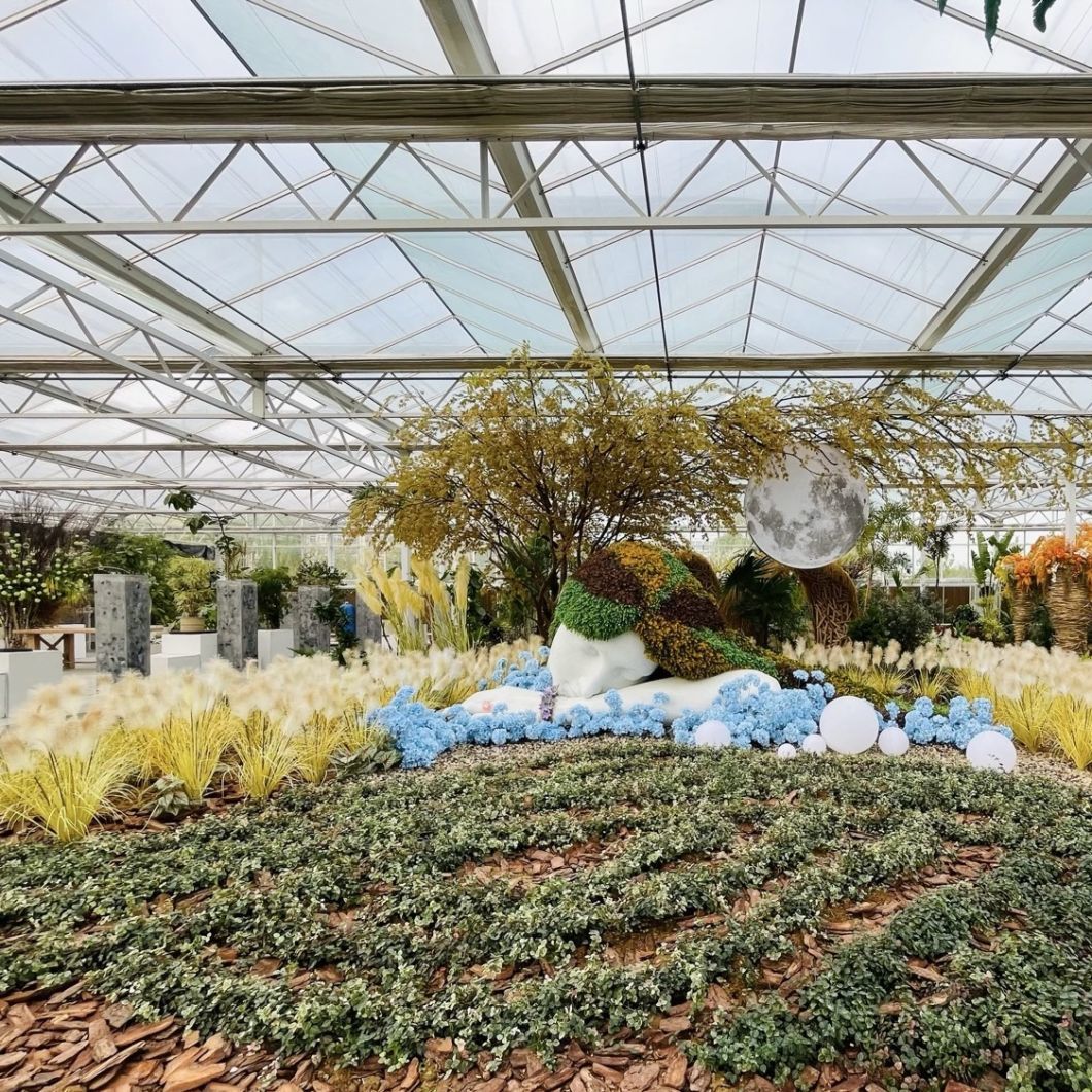 Glass Greenhouse Hydroponic Setup for Vegetable Growth