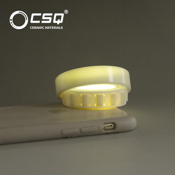 N1006 n1008 n1009 Ceramic Roller Bearings ZrO2 Races Cage