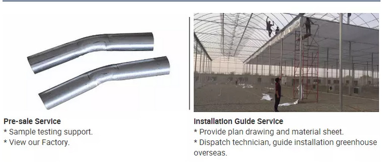 Exhibition Venlo Greenhouse Structure , Polycarbonate Sheet Greenhouse High Output
