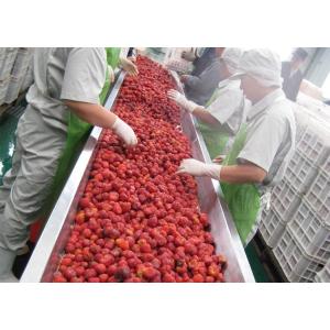 Quality 380V Berry Fruit Jam Processing Machinery 20T/H ISO9001 Certificate wholesale