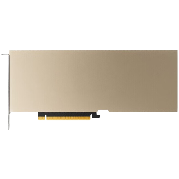 NVIDIA A10 24GB GDDR6 GPU With PCIe Gen4 Interface 9216 CUDA Cores For AI Deep Learning