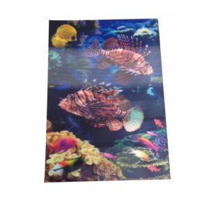 China Waterproof 0.40mm PET Aquarium Pattern Paper Print Poster on sale