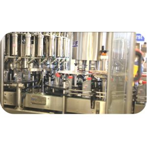 Fully Automatic Piston Monoblock Filler Capper Machine 100ml-1L