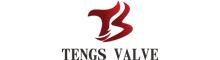 China Yongjia Tengs Valve Co.,Ltd. logo