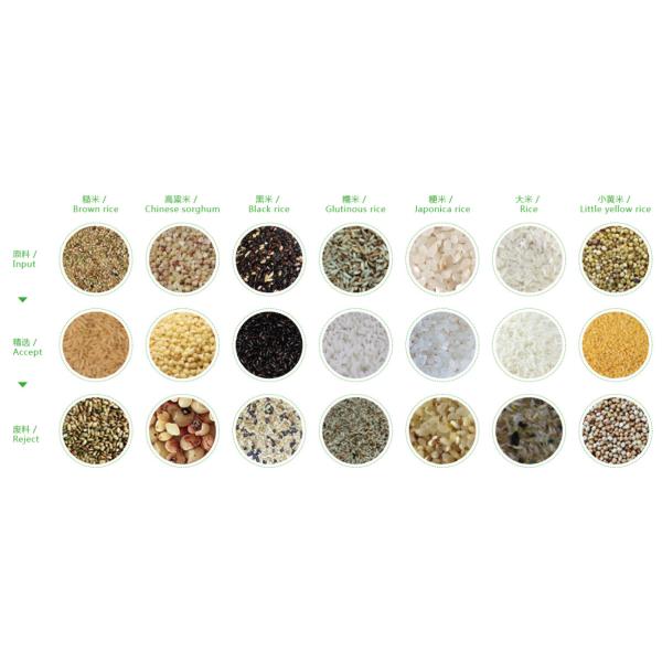 Wenyao Color Sorter Nuts Rice Grains Beans Tea Seeds Sorting Machine For Food Industry