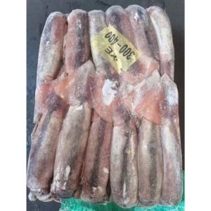 300g 400g Healsea Argentina BQF Frozen Illex Squid