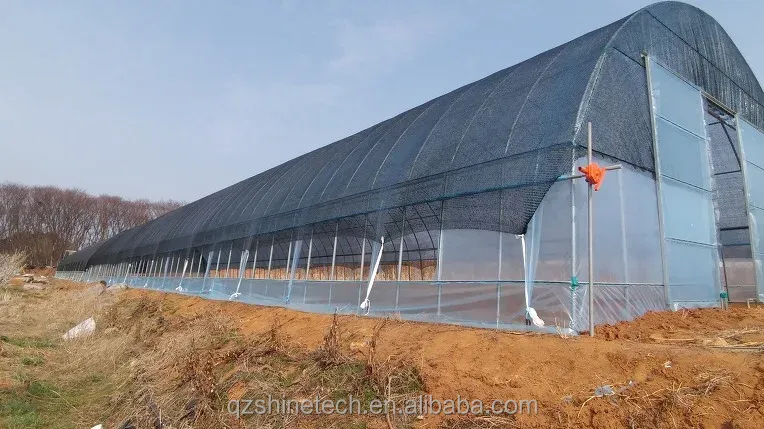 Single Span Agricultural Greenhouses Shading Net Film Greenhouse For Tomato Planting