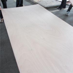 Quality Yacht Building Dynea WBP 12mm Marine Okoume Plywood wholesale