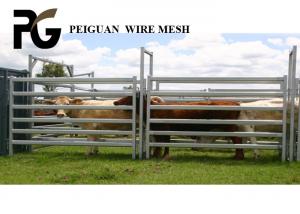 Quality 1.8m Livestock Metal Fence Panels wholesale