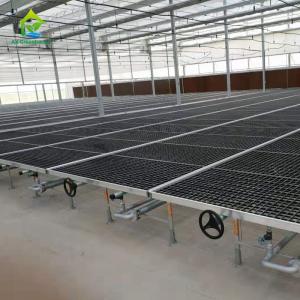 China HDG Steel Frame Greenhouse Plant Tables 50*100mm Mesh Nursery Potting Benches on sale