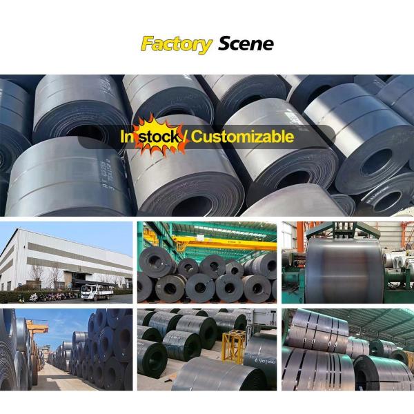 Hot Sales Q345 Hot Rolled Mild Steel Sheet Plate and Carbon Steel Coil