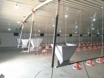 YANTAI BAGEASE POULTRY FARMING EQUIRMENT CO.,LTD