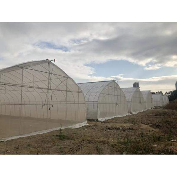 Easy Assembled Waterproof PE Film Prefabricated Single Span Tunnel Greenhouse for Strawberry Tomato Flower