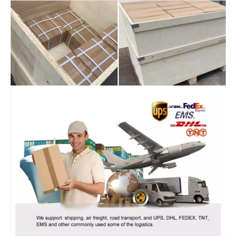 DLE55EFI Model Aircraft New Fixed-Wing Single-Cylinder Fuel-Injected Gasoline Engine Long-Endurance Power Drone Accessories