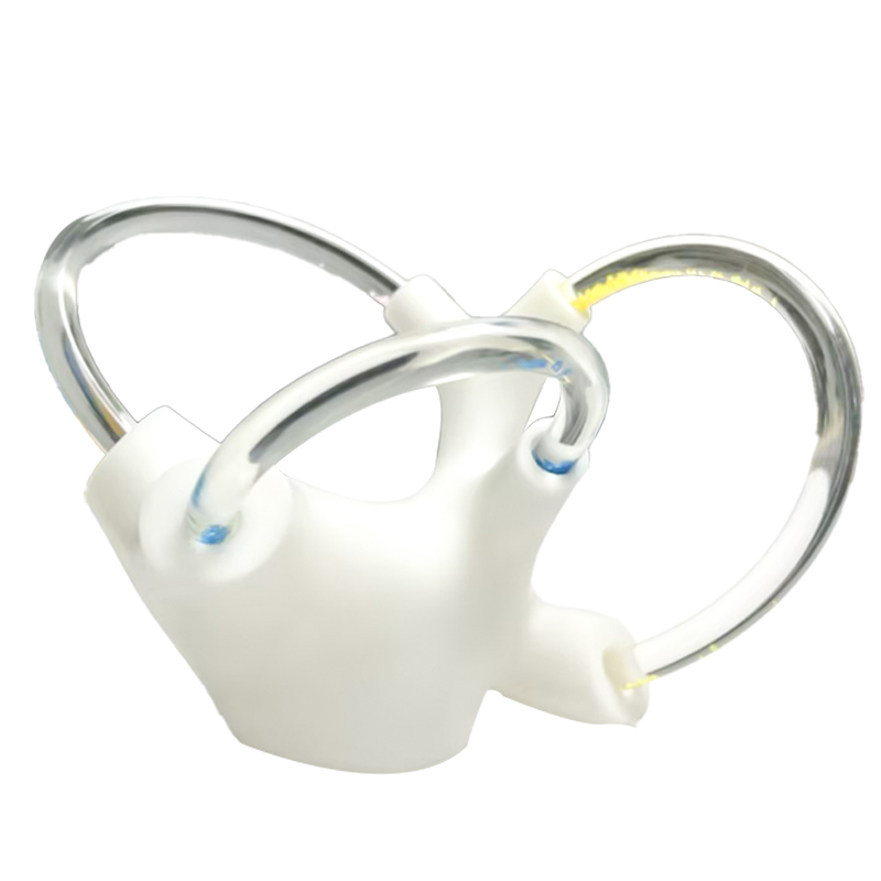Human Skeleton Cochlea Inner Ear Cranial Nerve Rehabilitation Anatomical Function Didactic Demonstration Semicircular Canal