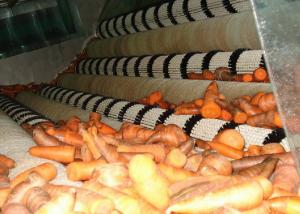 Quality Industrial Carrot Processing Plant / Stable Carrot Processing Equipment wholesale