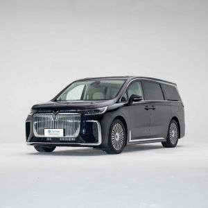 Large Dongfeng VOYAH Dreamer Electric Car MPV Chinese EV Cars