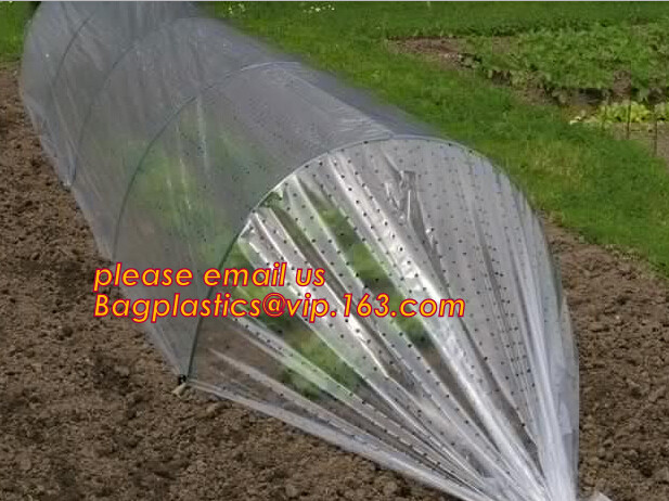 Perforated Black Agricultural Mulch Film for Weed Control Membrane,Pre-stretch Perforated UV Resistant Agriculture Film