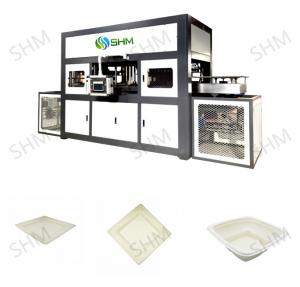 China Tableware Molded Pulp Machine Equipment Fully Automatic For Industrial on sale