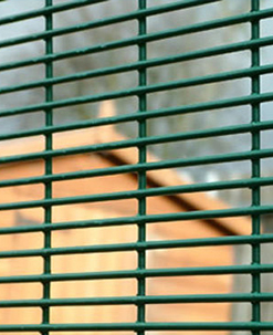 China Anti Climb Anti Cut 358 Security Fencing