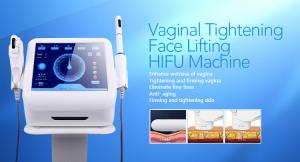 Quality 2 In 1 Hifu Vaginal Tightening / Hifu Face Lift Machine With Touch Screen wholesale