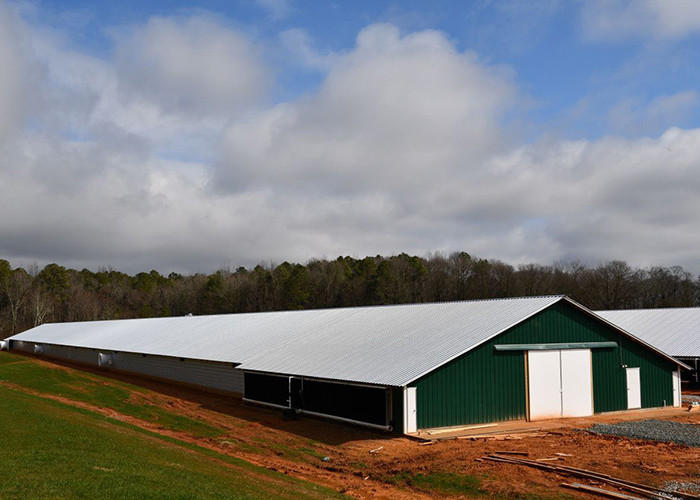 Environmental Controlled Prefab Steel Structure Poultry Chicken Shed