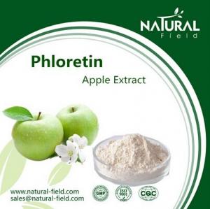 China Best Sells Product Phloretin, Free Samples Green Apple Extract, China Supplier Apple Extra on sale