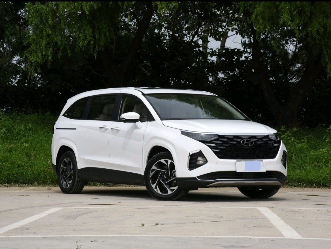 Hyundai Custo 2021 380TGDi Luxury Version DLX Large Mid Size MPV Max 173.6kw