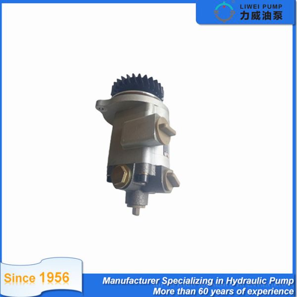 1010001572 Hydro Truck Gear Pump Oil For Weicai Wp12 Engine