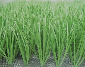 Quality Lemon Grass Football Artificial Grass Baseball 50mm Artificial Cricket Pitch Carpet wholesale