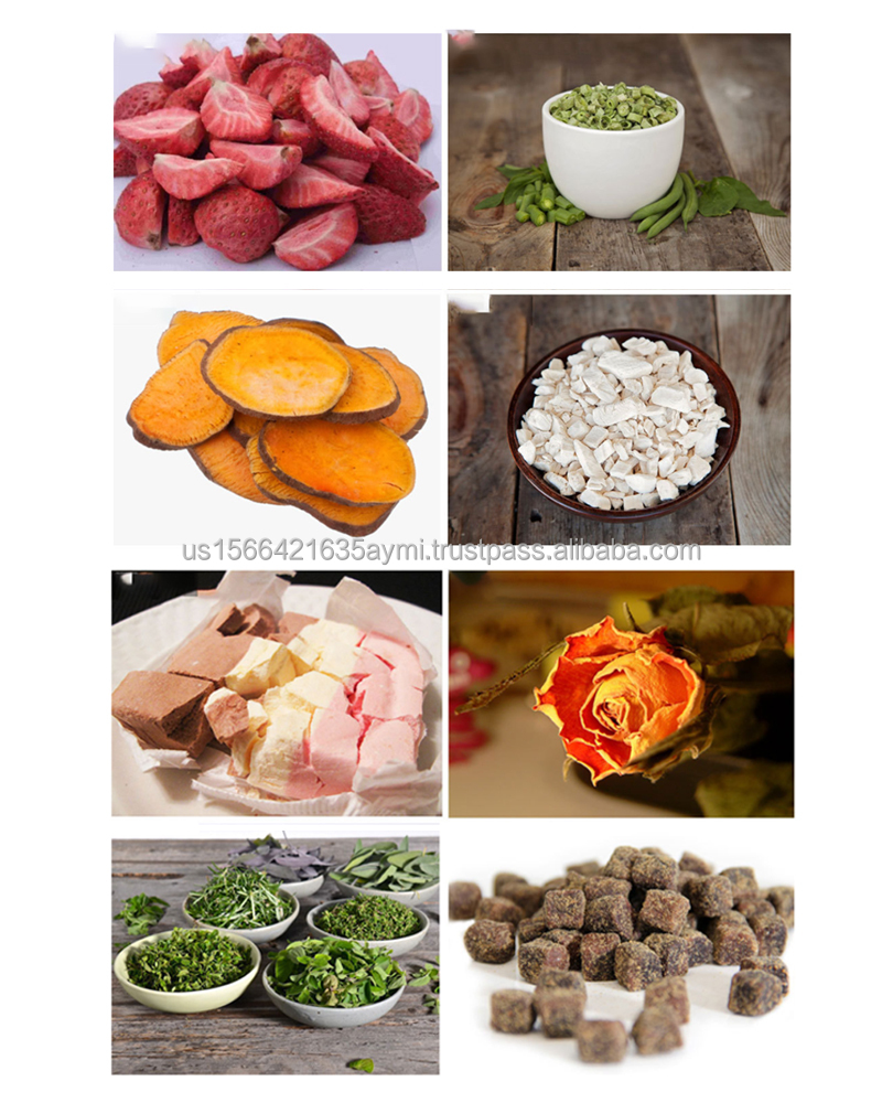 Lyophilizer Freeze Dryer Machine Meat Freeze Dry Machine For Milk Vegetables