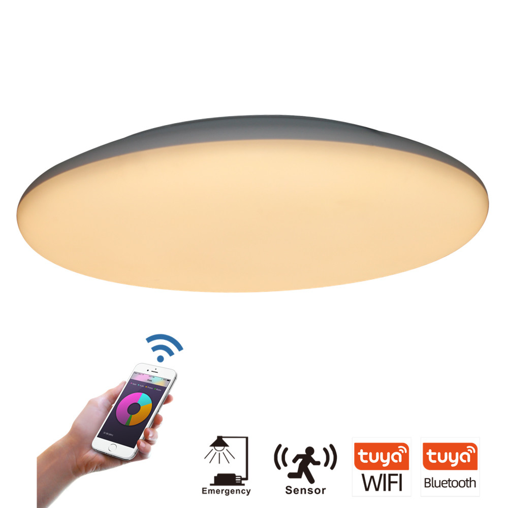 Quality Motion Activated LED Ceiling Lights wholesale
