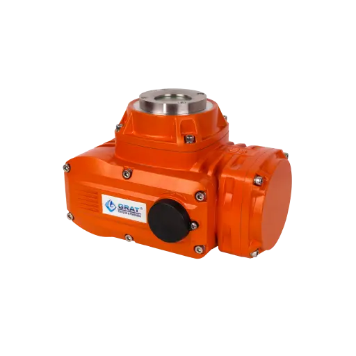 Explosion proof electric actuator 1