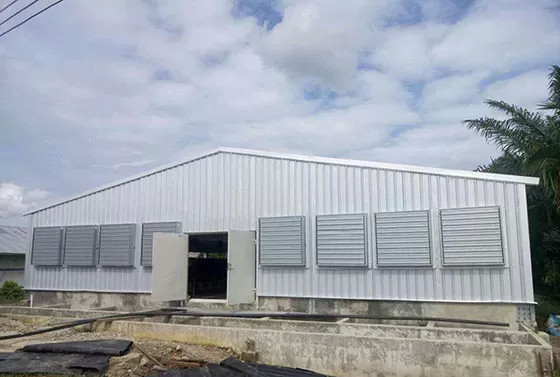 Quality Q235B Steel Structure Poultry House Painted Steel Frame Chicken Coop wholesale