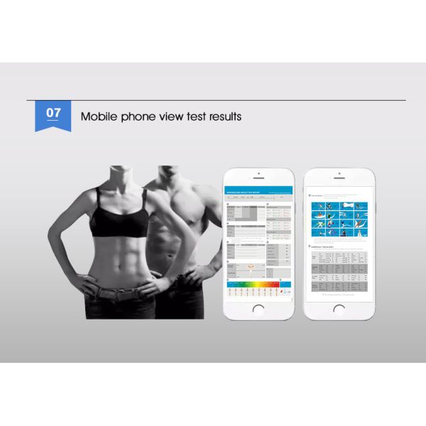 OEM ODM Human Body Fat Analyzer Machine / Body Composition Analyzer