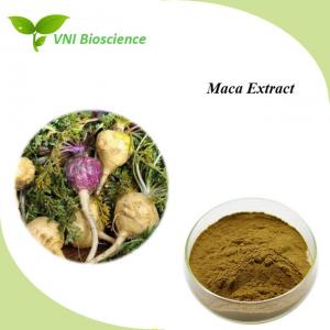 Natural Maca Root Extract Powder Supplyment Lepidium Meyenii Walp Extract