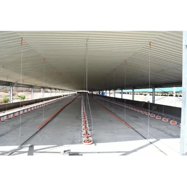 Hot Deep Galvanized Manufacture Metal Steel Broiler Layer Poultry House with Automatic Brooding Equipment