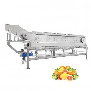 Quality Seabuckthorn  Fruit Processing Automatic Oil Extractor 60 Brix wholesale